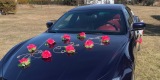 Auto / Samochód do ślubu Luksusowe Maserati - wybór dekoracji ślubnych | Auto do ślubu Częstochowa, śląskie - zdjęcie 3
