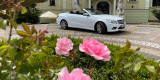 Mercedes Cabrio do ślubu, Wałbrzych - zdjęcie 3