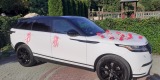Range Rover Velar P250S / BMW S5G30 | Auto do ślubu Lublin, lubelskie - zdjęcie 4