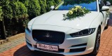 Jaguar XE - sportowa limuzyna do ślubu, Chorzów - zdjęcie 5