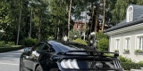 Mustang GT do ślubu | Auto do ślubu Warszawa, mazowieckie - zdjęcie 5
