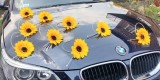 Auto do ślubu BMW 520i | Auto do ślubu Bytom, śląskie - zdjęcie 3