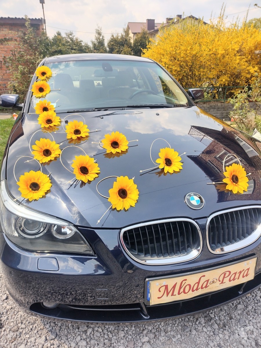 Auto do ślubu BMW 520i | Auto do ślubu Bytom, śląskie - zdjęcie 1