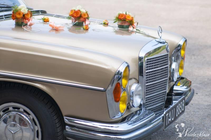 Mercedes filmowy., Tarnów - zdjęcie 1