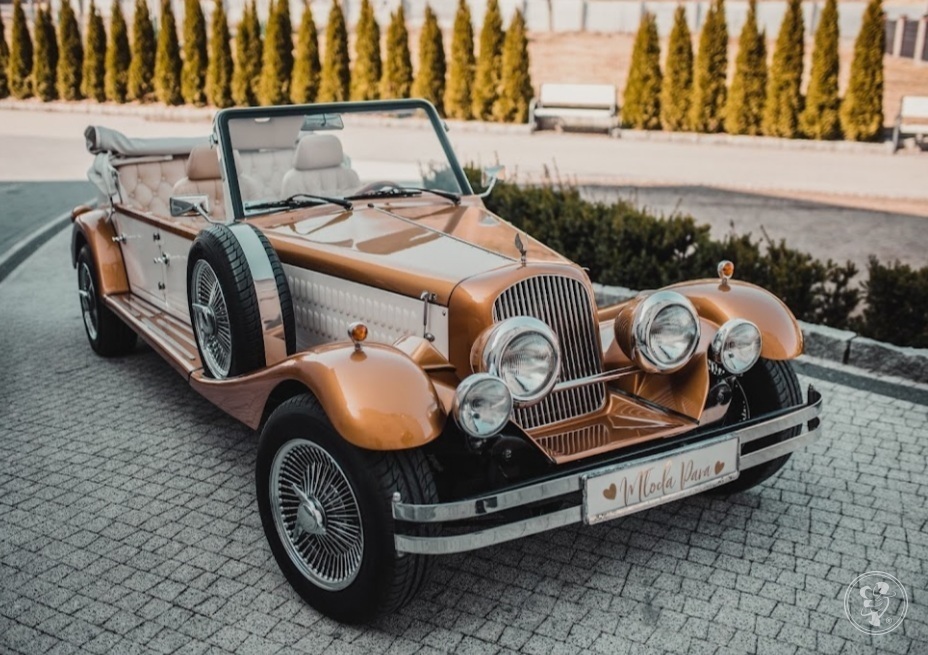 Złoty Nestor Baron | Auto do ślubu Bielsko-Biała, śląskie - zdjęcie 1