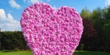 Ścianka kwiatowa serce 260cm łuk ślubny za młodą parą Glamour Boho, Rybnik - zdjęcie 4