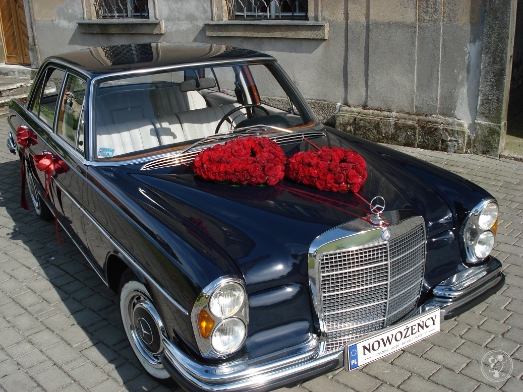 Mercedes retro Skrzydlak, zabytkowe auto do ślubu., Gryfów Śląski - zdjęcie 1