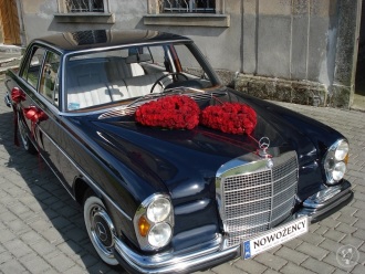 Mercedes retro Skrzydlak, zabytkowe auto do ślubu.,  Gryfów Śląski