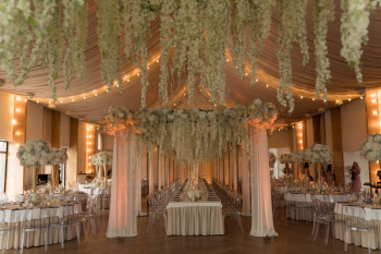 Viola Polska  Wedding Planner- organizacja ślubów i wesel, Wedding planner Międzyrzec Podlaski