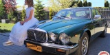 Auto do ślubu Jaguar Daimler XJ6 1980 klasyk  lub Jaguar XJ8 klima | Auto do ślubu Łódź, łódzkie - zdjęcie 3