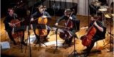 Barrels Cello Quartet - profesjonalna oprawa muzyczna, Łódź - zdjęcie 2