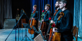 Barrels Cello Quartet - profesjonalna oprawa muzyczna, Łódź - zdjęcie 3