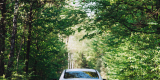 Pojazd do ślubu Mercedes-Benz CLA 200 Linia AMG | Auto do ślubu Mstów, śląskie - zdjęcie 5
