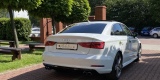 Piękne 300-konne Audi / Duży wybór dekoracji / Odwóz gości /napis LOVE, Bielsko-Biała - zdjęcie 2