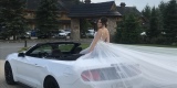 Mustang Cabrio na ślub ,sam prowadzisz, Nysa - zdjęcie 6
