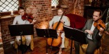 Muzyka na Twój ślub! - Zespół Akade Trio, Gdańsk - zdjęcie 5
