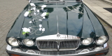 Auto do ślubu Jaguar Daimler XJ6 1980 klasyk  lub Jaguar XJ8 klima | Auto do ślubu Łódź, łódzkie - zdjęcie 4