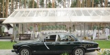 Auto do ślubu Jaguar Daimler XJ6 1980 klasyk  lub Jaguar XJ8 klima, Łódź - zdjęcie 5