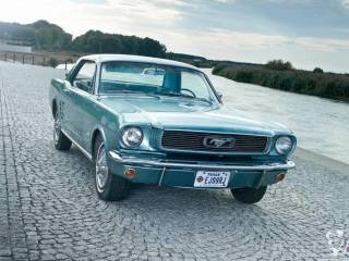 Mustang 1966,  Konin