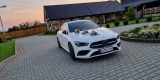 Mercedes CLA do ślubu + dekoracja z żywych kwiatów, Babice - zdjęcie 3