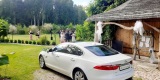 Jaguar XF Prestige - samochód do ślubu - limuzyna, luksusowy ślub, Białystok - zdjęcie 3