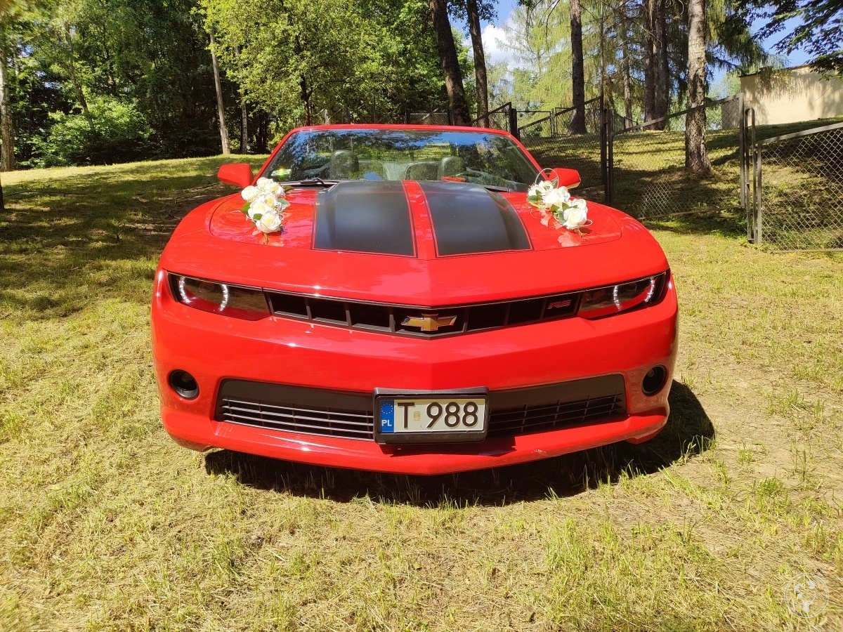 Cabrio do ślubu - Chevrolet Camaro RS | Auto do ślubu Kielce, świętokrzyskie - zdjęcie 1