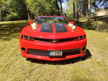 Cabrio do ślubu - Chevrolet Camaro RS | Auto do ślubu Kielce, świętokrzyskie
