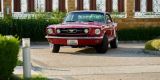 Ford Mustang z 1966 roku na wesele. Klasyk do ślubu, Rzeszów - zdjęcie 2