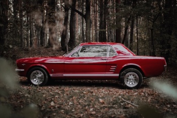 Ford Mustang z 1966 roku na wesele. Klasyk do ślubu, Samochód, auto do ślubu, limuzyna Przecław