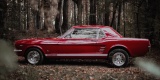Czerwony Ford Mustang 1966 V8 | Auto do ślubu Rzeszów, podkarpackie - zdjęcie 3