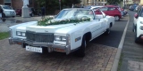 Zabytkowe auto do ślubu - Wołga, Cadillac Eldorado Cabrio, Lubin - zdjęcie 5