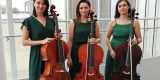Kobiece Trio Wiolonczelowe | Oprawa muzyczna ślubu Olsztyn, warmińsko-mazurskie - zdjęcie 6