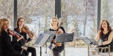 ArtON Quartet  kwartet smyczkowy | Oprawa muzyczna ślubu Bydgoszcz, kujawsko-pomorskie - zdjęcie 2