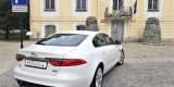Jaguar XF Prestige - samochód do ślubu - limuzyna, luksusowy ślub, Białystok - zdjęcie 2
