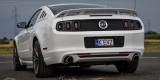 Ford Mustang GT do ślubu, biały | terminy 2022 | Auto do ślubu Inowrocław, kujawsko-pomorskie - zdjęcie 3