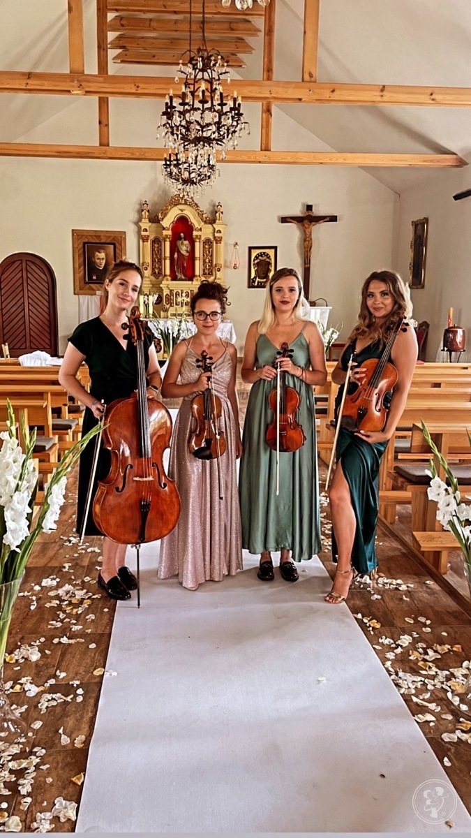 Anna Morawska Skrzypce | Oprawa muzyczna ślubu Toruń, kujawsko-pomorskie - zdjęcie 1