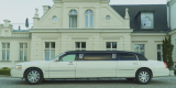 Lincoln Town Car | Volvo 244 | Auto do ślubu Grębocin, kujawsko-pomorskie - zdjęcie 2