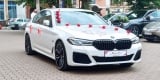 Auto do ślubu, samochód na wesele / Nowe BMW 530e M Pakiet, Elbląg - zdjęcie 3