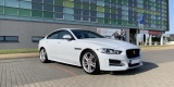Jaguar, Volvo, Mercedes, Tesla, BMW | Auto do ślubu Łomża, podlaskie - zdjęcie 5