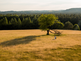 EP - Fotografia | Fotograf ślubny Lublin, lubelskie