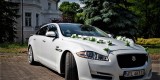 JAGUAR XJL 340 KM auto do ślubu i inne imprezy okolicznościowe | Auto do ślubu Ełk, warmińsko-mazurskie - zdjęcie 2