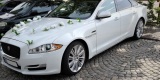 JAGUAR XJL 340 KM auto do ślubu i inne imprezy okolicznościowe | Auto do ślubu Ełk, warmińsko-mazurskie - zdjęcie 3
