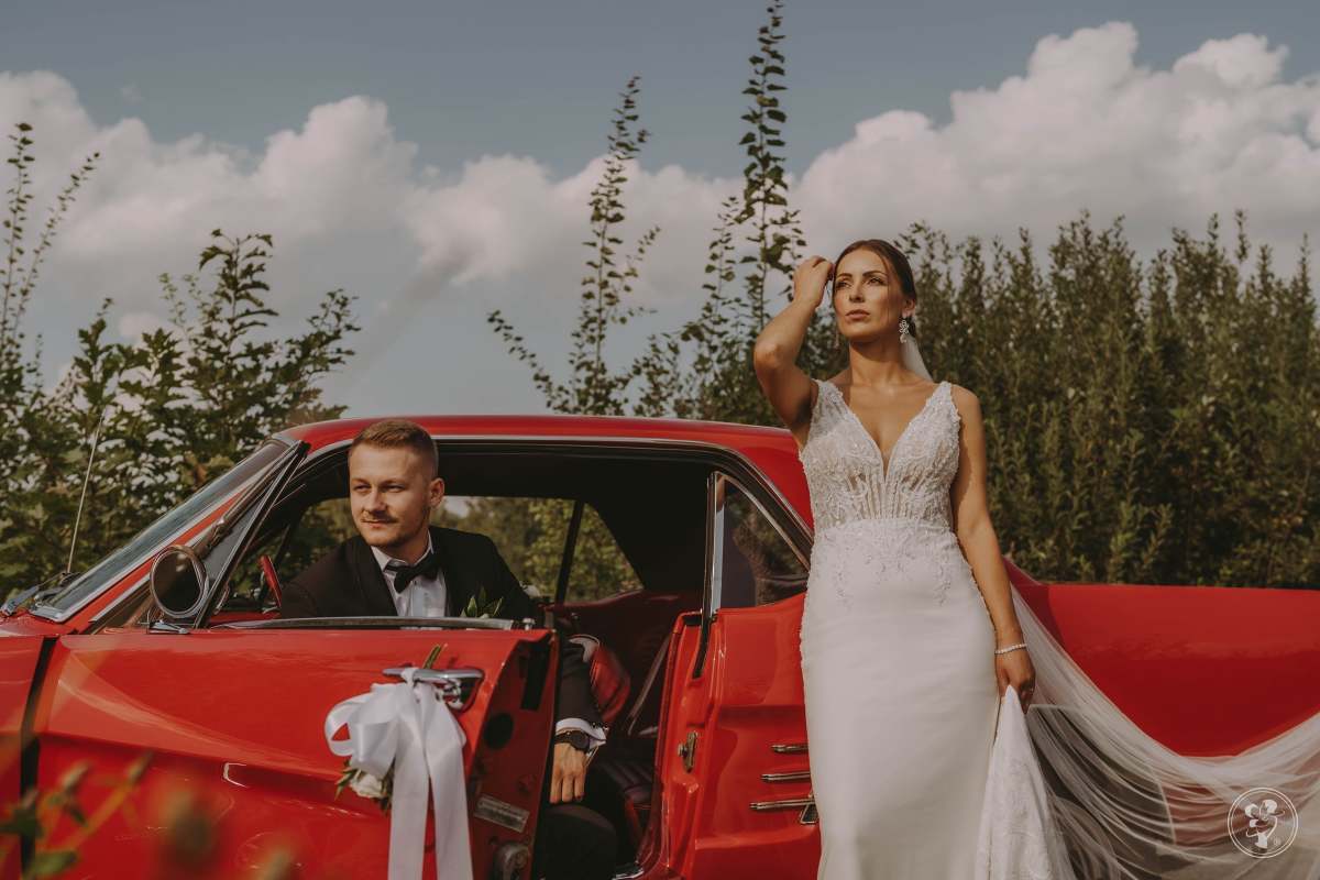 Sobotki Weddings - Film i Fotografia Ślubna, Gliwice - zdjęcie 1
