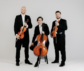 MEZZO - Trio Smyczkowe - Oprawa Muzyczna skrzypce,wokal,wiolonczela,, Oprawa muzyczna ślubu Lębork