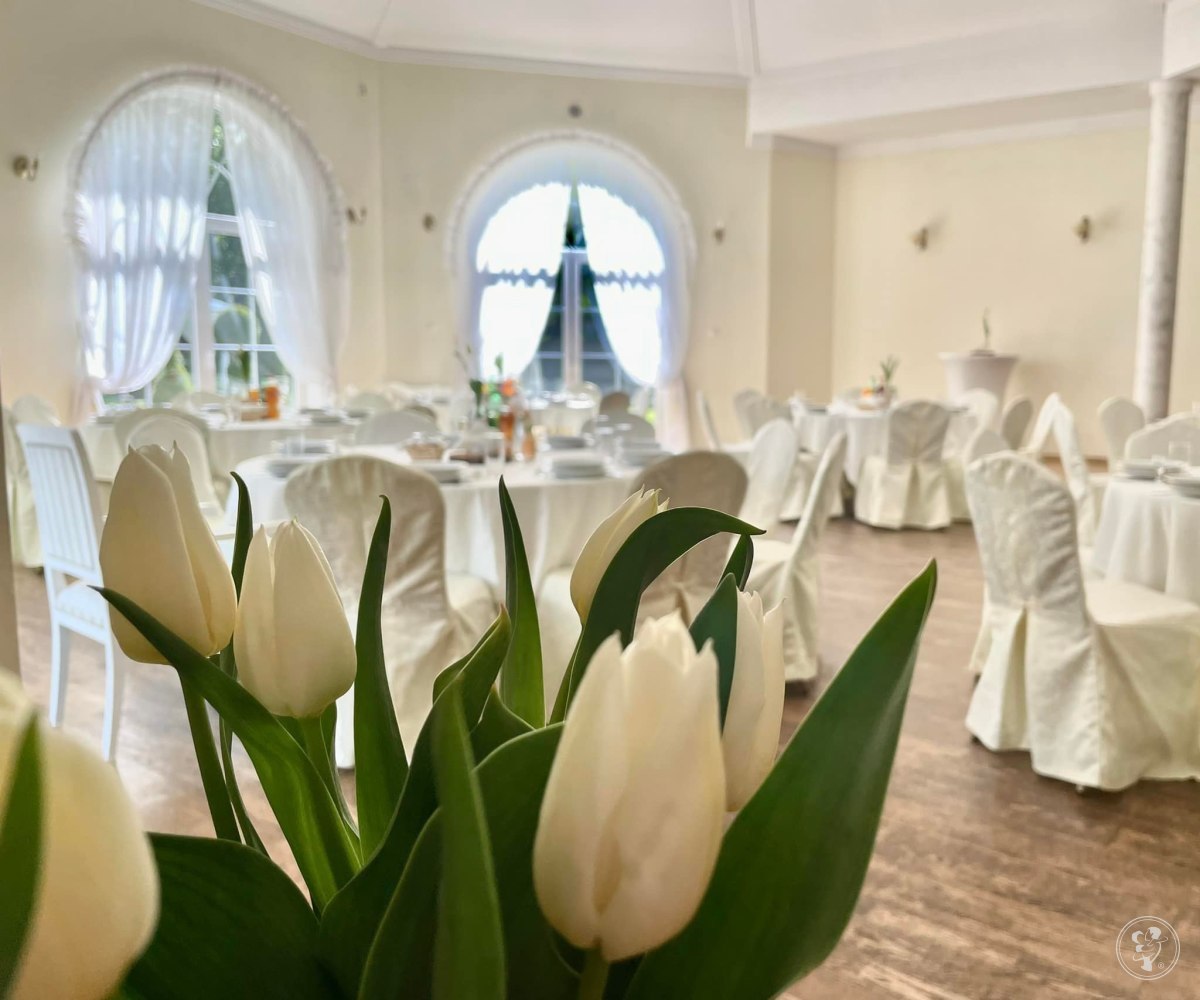 Sala Weselna Arkadia, Wola Krzysztoporska - zdjęcie 1