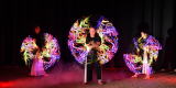 POKAZ LED SHOW | Visual Show | Taniec ze światłem, Elbląg - zdjęcie 6