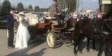 Kary Mustang wiejskie wesele , Biszcza - zdjęcie 3
