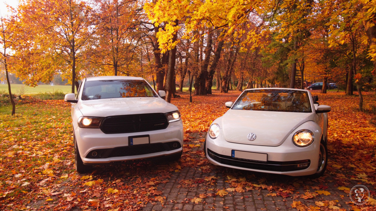 Biały VW Beetle Biały Dodge | Auto do ślubu Lublin, lubelskie - zdjęcie 1