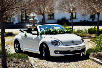 Biały VW Beetle Biały Dodge | Auto do ślubu Lublin, lubelskie