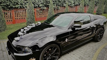 Ford Mustang, Samochód, auto do ślubu, limuzyna Sułkowice